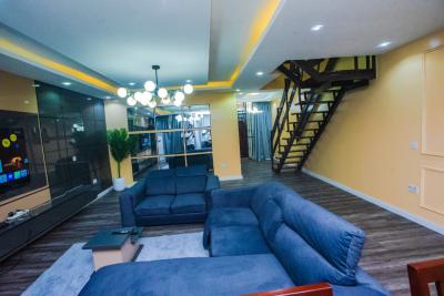 Fully Furnished 3 Bedroom Duplex, 1004, Victoria Island (vi), Lagos, Flat / Apartment for Rent