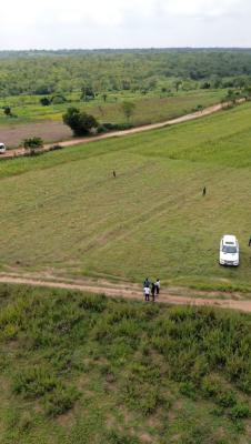 Next Generation Farm City, Most Affordable Farmland with Annual Income, Next Generation Farm City, Most Affordable Farmland with Annual Income, Abeokuta North, Ogun, Land for Sale