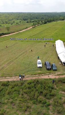 Next Generation Farm City, The Most Sought-after Farmland, Most Sought-after Farmland for Annual Passive Income Yearly, Abeokuta South, Ogun, Mixed-use Land for Sale