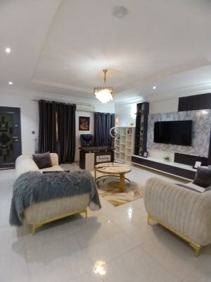 Fully Furnished 5 Bedroom Detached Duplex, Asokoro Abuja Diplomatic Zone, Asokoro District, Abuja, Detached Duplex for Rent