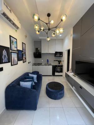 1 Bedroom Apartment with Swimming Pool and Gym — Oniru, Victoria Island (VI), Lagos