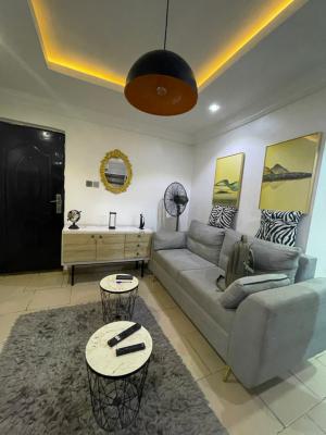 New Luxury 1-bedroom in a Serene Lagos Haven, Abuleoja, Yaba, Lagos, Mini Flat (room and Parlour) Short Let