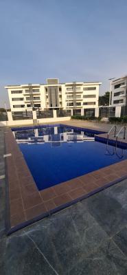 Luxury Unfurnished 3 Bedroom with a Bq, Jabi, Abuja, Flat / Apartment for Rent