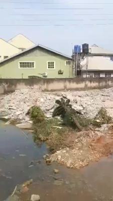 a Bareland Measuring 750 Sqm with C of O in a Gated Estate, Shadia Estate, Soluyi, Gbagada, Lagos, Land for Sale