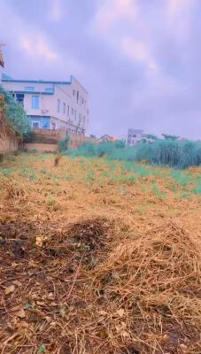 a Gated Bare Land Measuring 1200 Sqm with Registered Title, Gbagada, Lagos, Land for Sale