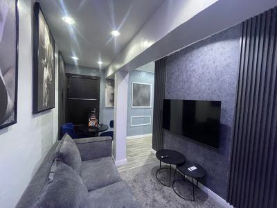 a Well Maintained 2 Bedroom, Lekki Phase 1, Lekki, Lagos, Flat / Apartment for Rent