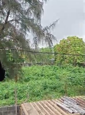 3944. 38 Sqm Land, Scheme 1, Plot B. James George Estate, Old Ikoyi, Ikoyi, Lagos, Land for Sale