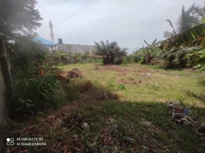 Well Positioned Total Dry Land Suitable for Instant Development, Awoyaya, Ibeju Lekki, Lagos, Residential Land for Sale