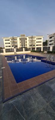 Luxury Three Bedroom Apartment with a Boys Quarters, Jabi, Abuja, Flat / Apartment for Rent