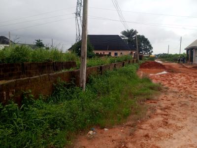 Land Measured 100ft By 100ft at Okha Sapele Road Benin City., Okha Sapele Road Benin City After Biu Gate Sapele Road, Benin, Oredo, Edo, Residential Land for Sale