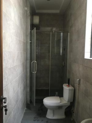 Luxury 4 Bedroom Terrace Duplex with Top Notch Facilities, Ikate, Lekki, Lagos, Terraced Duplex for Rent