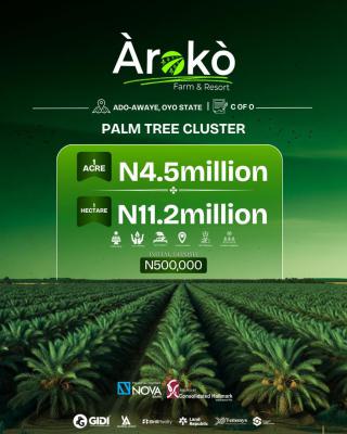 Acres of Farmland at Discounted Rates, Ibadan, Oyo, Industrial Land for Sale
