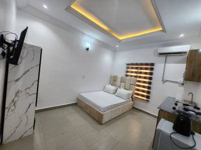 Serviced & Furnished Studio Apartment with Inverter & Generator, Shoprite, Jabi, Abuja, Self Contain (single Rooms) for Rent