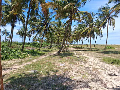 150 Plots Water Front Land in a Lovely Location Facing Expressway — Lekki, Lagos