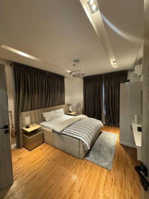 Luxury Furnished 2bedroom Apartment with Fitted Kitchen, Ikate Lekki Lagos, Lekki, Lagos, Flat / Apartment for Rent