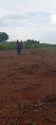 Fenced and Gated Ready to Build Land, Off Ikola Road, Ipaja, Lagos, Residential Land for Sale