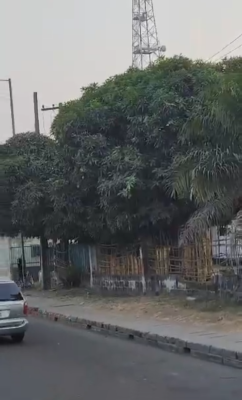 Fenced Land Measuring 1.5 Hectares (15,000sqm), Bode Thomas/funsho Williams Avenue, Bode Thomas, Surulere, Lagos, Commercial Land for Sale