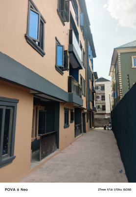 Executive and Luxury Brand New 2 Bedroom All Ensuit, Off Ojuelegba Road, Surulere, Ojuelegba, Surulere, Lagos, Flat / Apartment for Rent