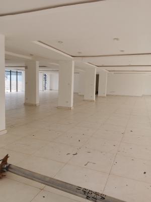 Fully Detached Purpose Built Office Complex, Central Business District, Abuja, Office Space for Rent