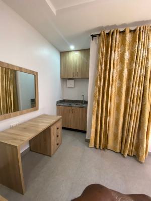 Luxury Furnished Self Contain, Kwame Nkuruma Crescent, Asokoro District, Abuja, Self Contain (single Rooms) for Rent