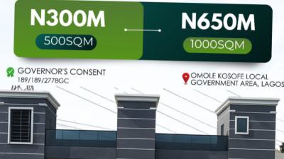 Land with C of O, Mole Koseofe, Magodo, Lagos, Residential Land for Sale