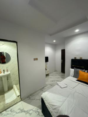 Luxury Two Bedroom Apartment, Olorunlogbon Street, Anthony, Maryland, Lagos, Flat / Apartment for Rent