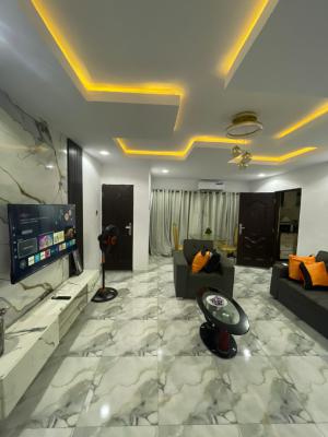 Luxury Two Bedroom Apartment, Olorunlogbon Street, Anthony, Maryland, Lagos, Flat / Apartment Short Let