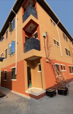 Newly Built and Spacious One Bedroom Apartment, Pedro, Gbagada, Lagos, Mini Flat (room and Parlour) for Rent