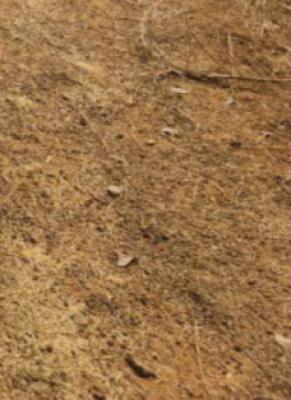 Fenced Land of 1,128sqm with C of O, Stella Maris Axis, Life Camp, Abuja, Residential Land for Sale