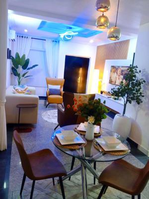 Cozy and Fully Furnished 2-bedroom Apartment, Lekki, Lekki Phase 1, Lekki, Lagos, Flat / Apartment for Rent