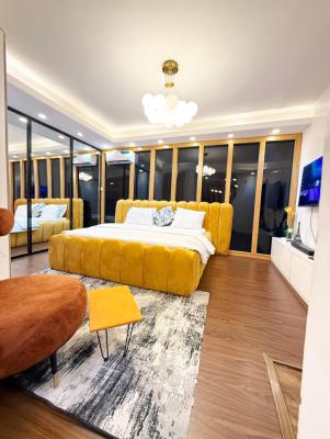 Luxury  Studio Apartment, Ikate, Lekki, Lagos, Self Contain (single Rooms) Short Let