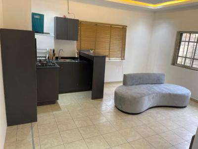 Luxury Three Unit One Bedroom Furnished Apartments, Lekki Phase 1, Lekki Phase 1, Lekki, Lagos, Mini Flat (room and Parlour) for Rent
