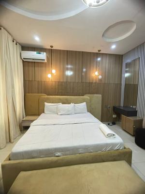 Fully Furnished & Serviced 2 Bedroom Terrace Duplex, Ikate Lekki, Lekki, Lagos, Terraced Duplex for Rent