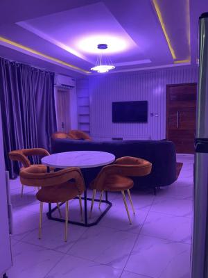 Fully Furnished 2 Bedroom Apartment, Ikate, Lekki, Lagos, Flat / Apartment for Rent