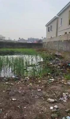 Land Measuring 1,250sqm, Opposite Lekki Garden Phase 2 Gate, Olokonla, Ajah, Lagos, Residential Land for Sale