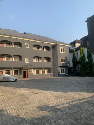 Spacious Serviced 2-bedroom Flat with Laundry Room, Ikate Elegushi, Lekki, Lagos, Flat / Apartment for Rent