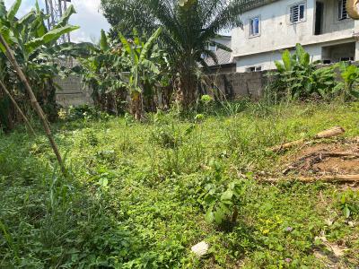 Well Located Plot of Residential Land, Eneka Link Road ( Shell Cooperative), Eneka, Port Harcourt, Rivers, Residential Land for Sale