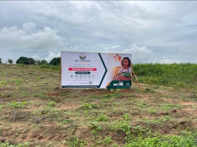 Affordable Farmland with Guaranteed Returns on Investment, Off Rounder Junction, Along Abeokuta Igbo Ora Expressway, Abeokuta North, Ogun, Mixed-use Land for Sale