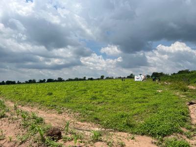 Make Cool Cash From Agriculture Through Selected Crop Farming, Own Acres of Fertile Land , Make Up to 8 Million on Cocoa & Plaintain, Abeokuta North, Ogun, Mixed-use Land for Sale