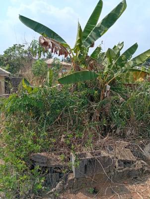 4 Plots of Land with Abandoned Factory, Magboro, Ogun, Factory for Sale