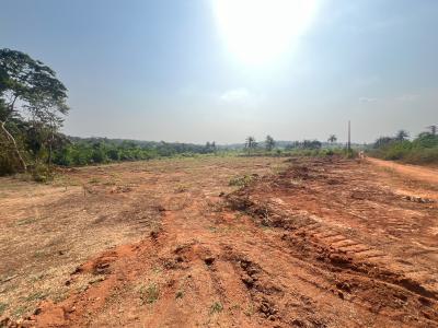 Very Cheap Land to Secure Your Child Future, Odeda Ibadan Abeokuta Express, Abeokuta North, Ogun, Mixed-use Land for Sale