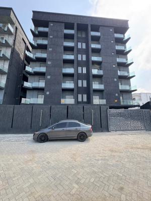 Luxury 2  Bedroom Apartment with a Bq in a Flood Free Axis, with Spacious Rooms, Pool, Elevator & Gym, Ikate Elegushi, Lekki, Lagos, Flat / Apartment for Sale