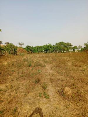 13.3 Hectares of Multipurpose Land, Karsana West (behind Tinubu Renewed Hope Estate), Karsana, Abuja, Mixed-use Land for Sale