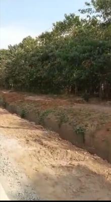 a Prime Bare Land Measuring Approximately 2.7 Hectares with C of O, Katampe (main), Katampe, Abuja, Land for Sale