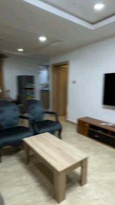 Premium Fully Furnished 1-bedroom Apartment, By Nicon Junction Maitama, Katampe, Abuja, Mini Flat (room and Parlour) for Rent