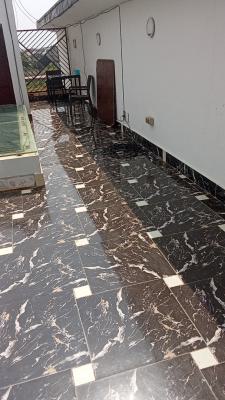 Clean 2 Bedroom Apartment, Sangotedo Lekki, Sangotedo, Ajah, Lagos, Flat / Apartment for Rent