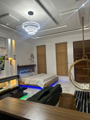 Big Cozy Studio Apartment, a Perfect Blend of Style, Ikota, Lekki, Lagos, Mini Flat (room and Parlour) Short Let