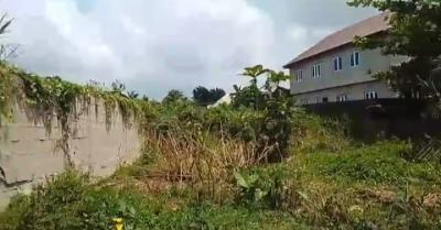 Half Plot of Land in a Nice Location, Igando, Alimosho, Lagos, Residential Land for Sale