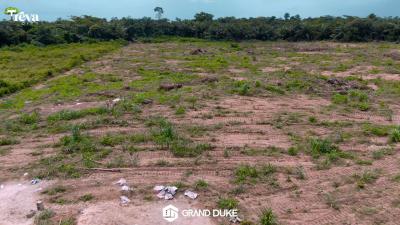 Land, New International Airport Road, Ibeju Lekki, Lagos, Land for Sale