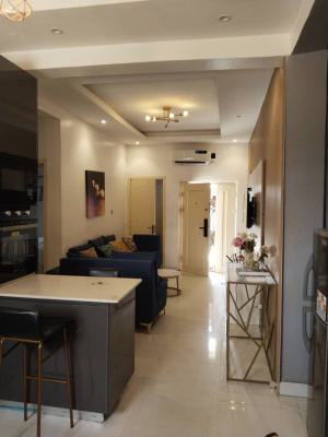 2 Bedroom Furnished Luxurious Spacious Apartment, Ikate, Ikate Elegushi, Lekki, Lagos, Flat / Apartment for Rent